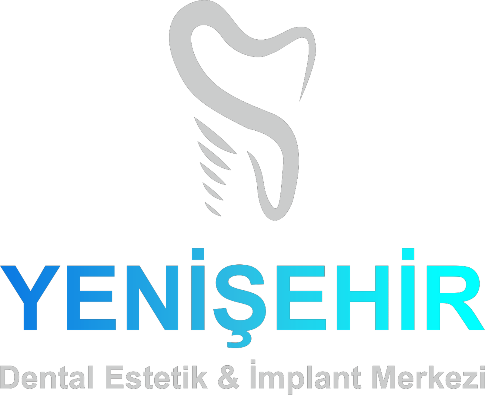 YENİŞEHİR